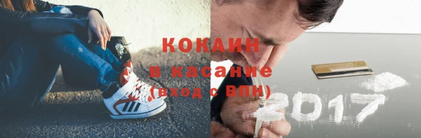 прущие грибы Алексеевка