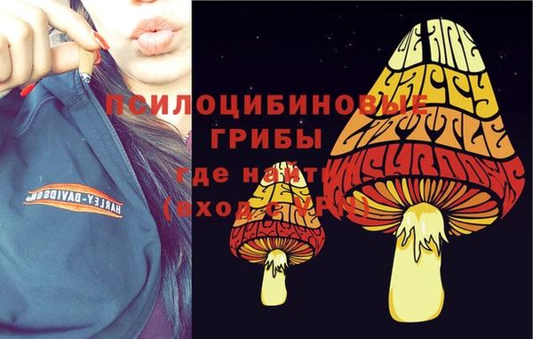 ECSTASY Алексин