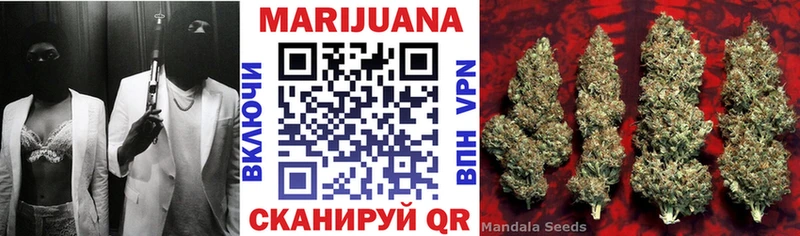 Конопля план  купить  цена  Алушта 